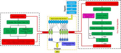 A novel hybridized neuro-fuzzy model with an optimal input combination for dissolved oxygen estimation